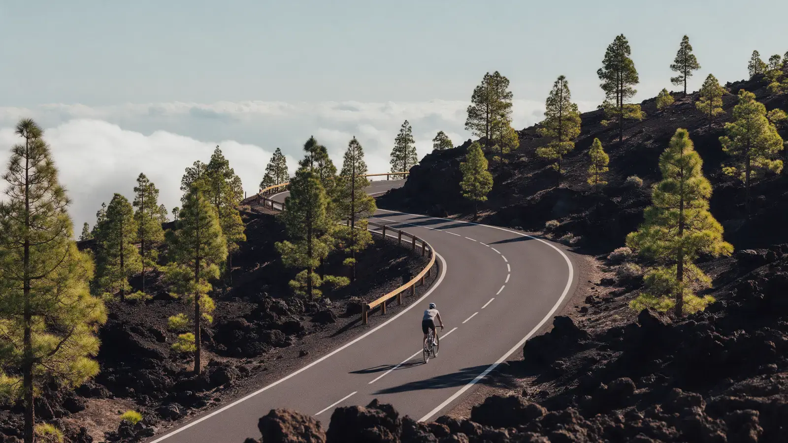 Rennradfahrer auf einer kurvigen Bergstraße zwischen Kiefern und Lavagestein auf Teneriffa